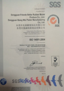 ISO 14001:2004
